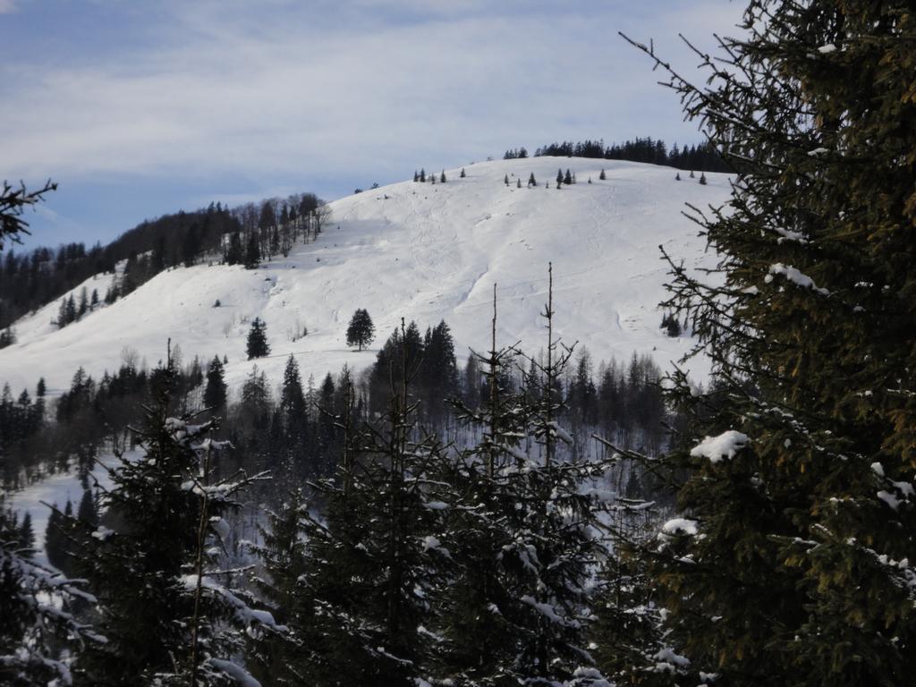 Ferienwohnungen Vordergriess Hochfilzen Eksteriør billede