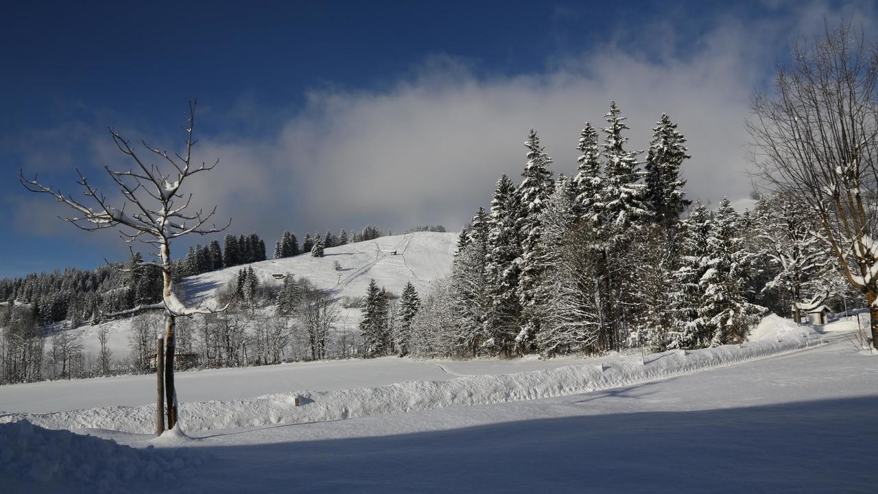 Ferienwohnungen Vordergriess Hochfilzen Eksteriør billede