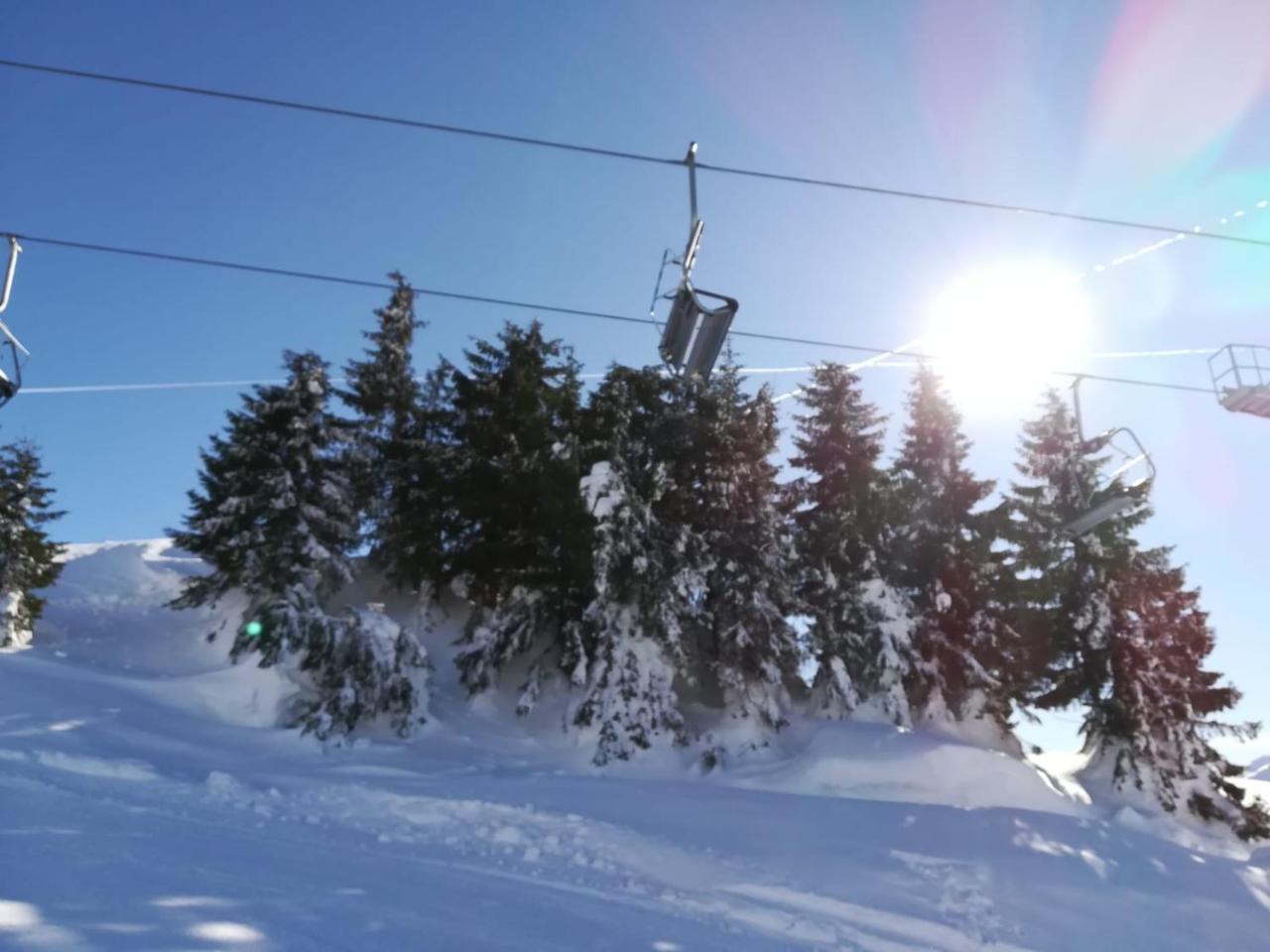 Ferienwohnungen Vordergriess Hochfilzen Eksteriør billede