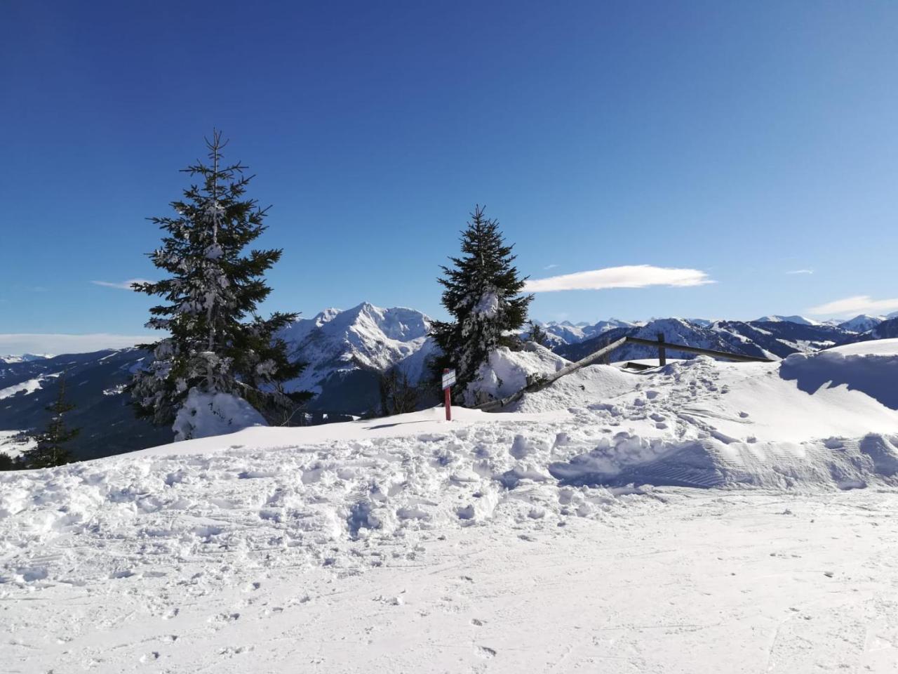 Ferienwohnungen Vordergriess Hochfilzen Eksteriør billede